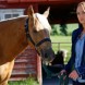 Titre VF saison 8