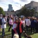 Run for the Cure