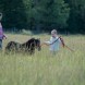 Heartland Episode 1009 -  A Horse With No Rider