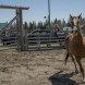 J-1 Saison 9 d'Heartland sur s�rie+ en VF