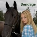 Sondage concours !