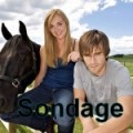 Sondage !