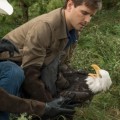 L'�pisode 906 d'HEARTLAND en Fran�ais !