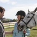 La saison 6