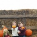 Joyeux halloween