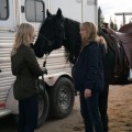 Heartland Episode 1016 - A Long Shot