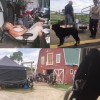 Heartland #Tournage saison 10 