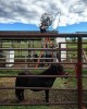 Heartland #Tournage saison 10 