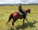 Heartland #Tournage saison 10 