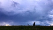 Heartland #Tournage saison 10 