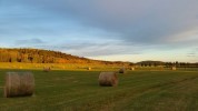 Heartland #Tournage saison 10 