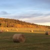 Heartland #Tournage saison 10 