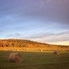 Heartland #Tournage saison 10 