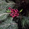Heartland #Tournage saison 10 