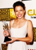 Heartland Critics Choice Television Awards  