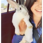 2015-07-29 16-29-00