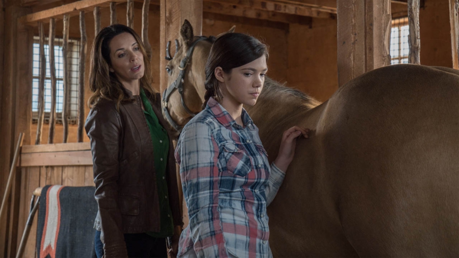 Photo de l'épisode #9.03